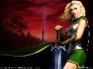 Age Of Wonders - 1280x960 - 127 Ko